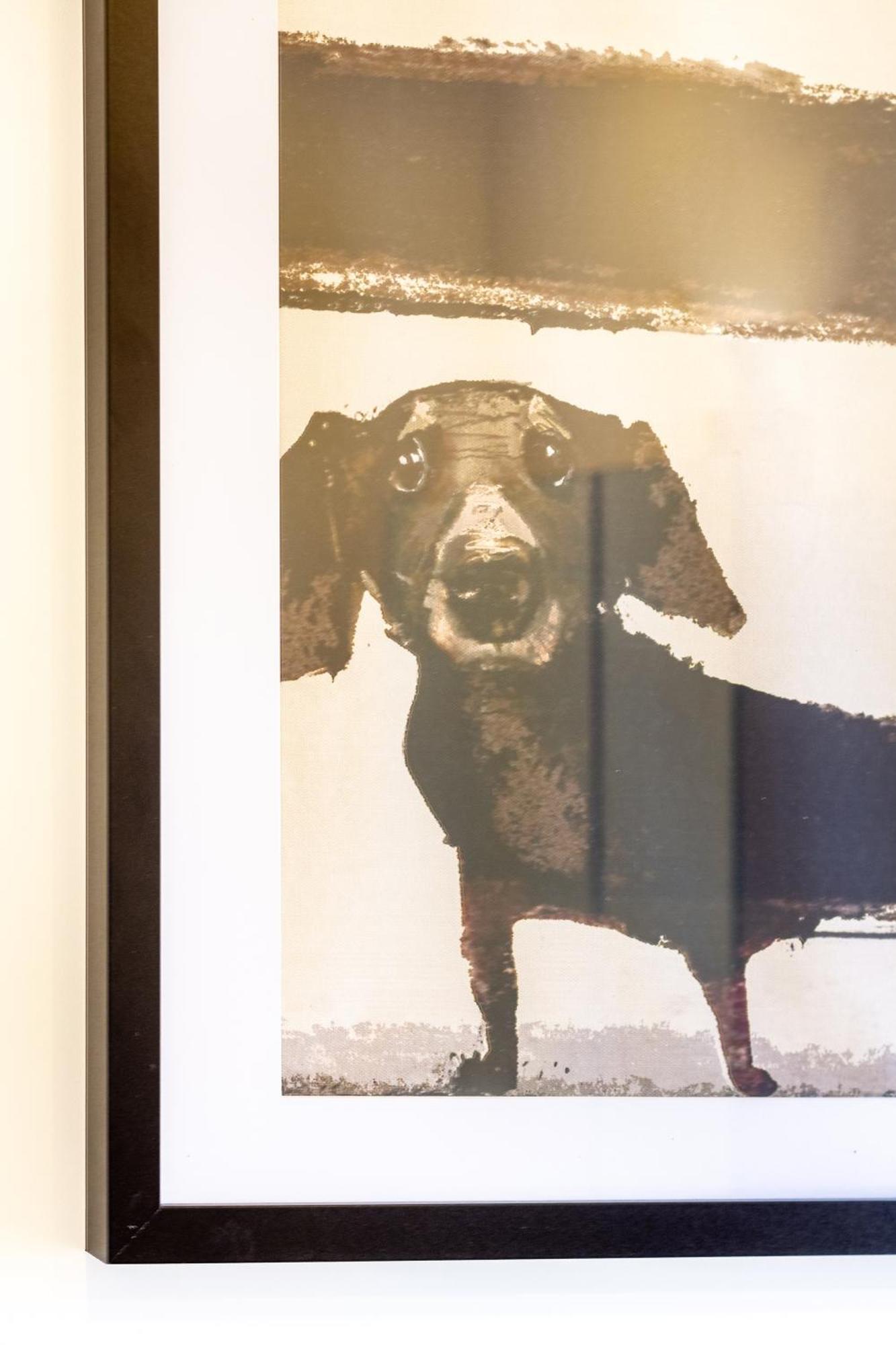 Apartamento Charm: Pet-friendly Christchurch