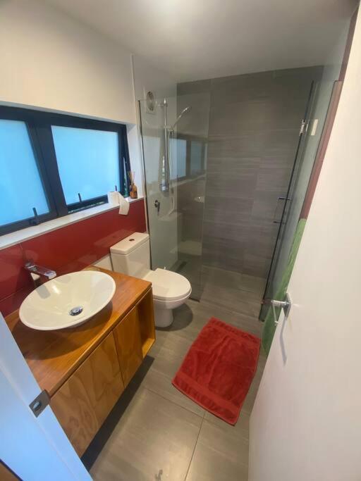 The Net Unit! Close To Center And Local Hills. Christchurch