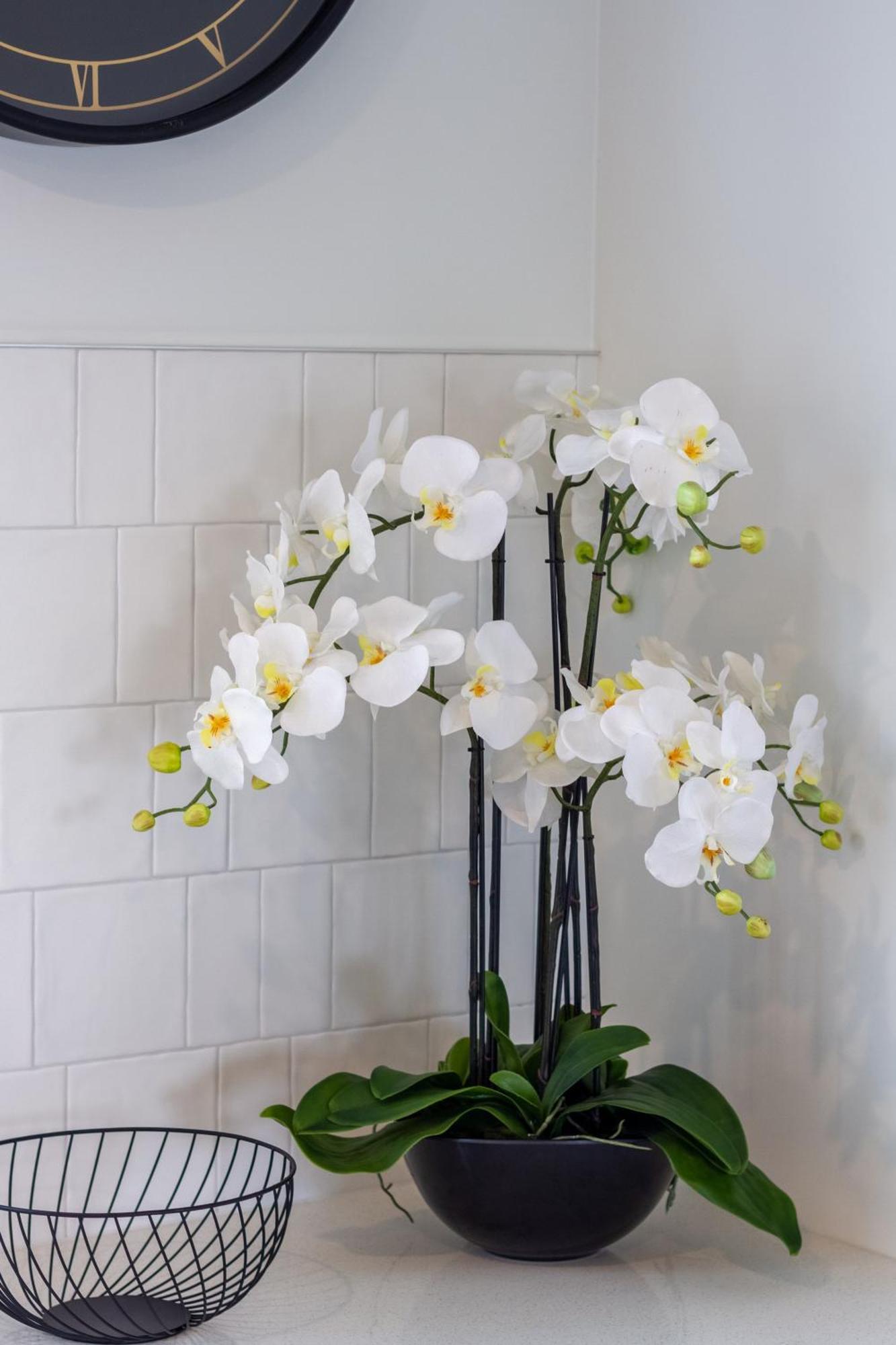 Apartment Relaxing Hideaway - 2 Bed In Cbd *