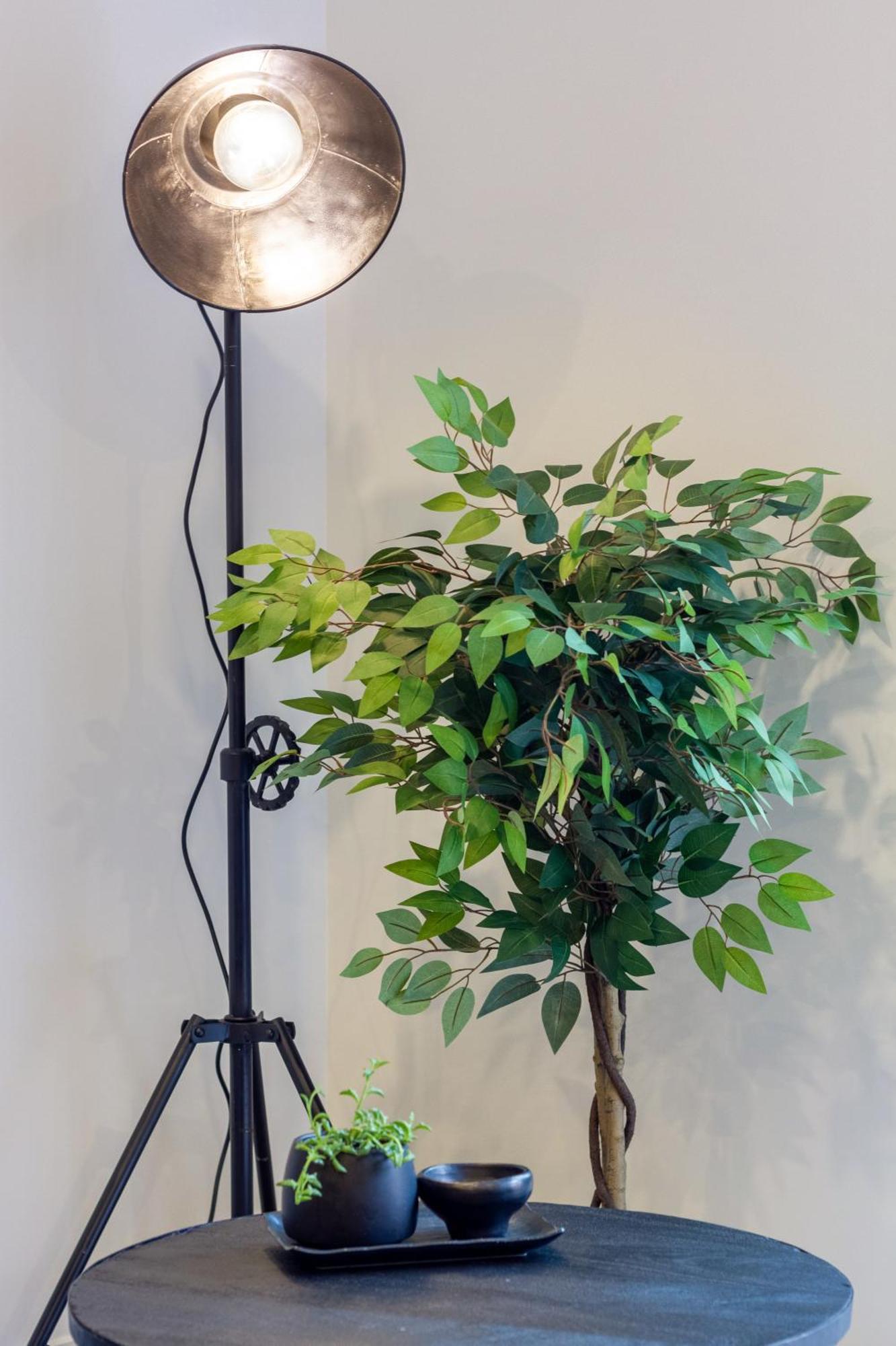 Apartment Merivale Gem: 2br Townhouse Oasis *