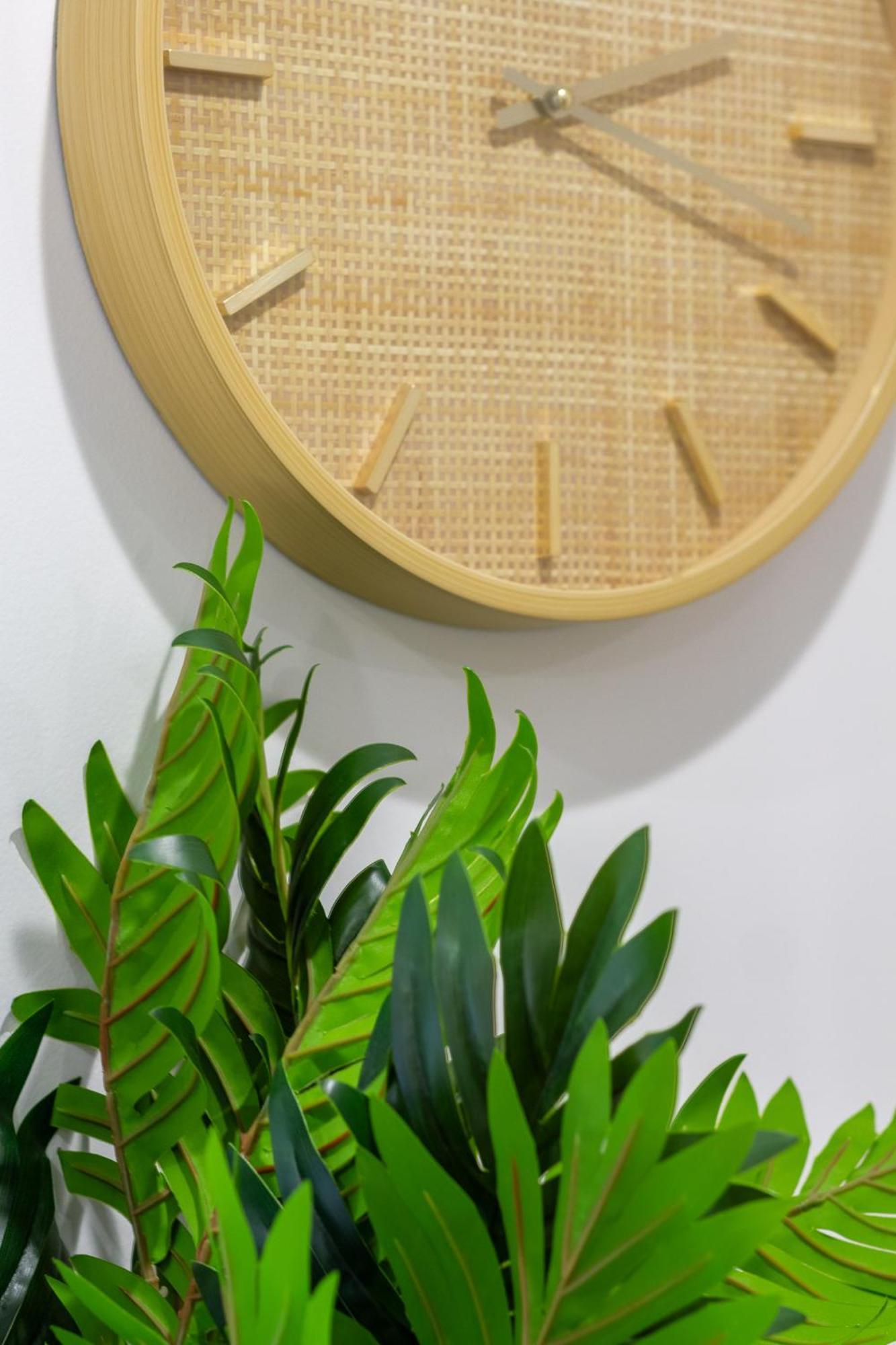 Modern Lifestyle: 2 Bedroom 1 Bath Christchurch