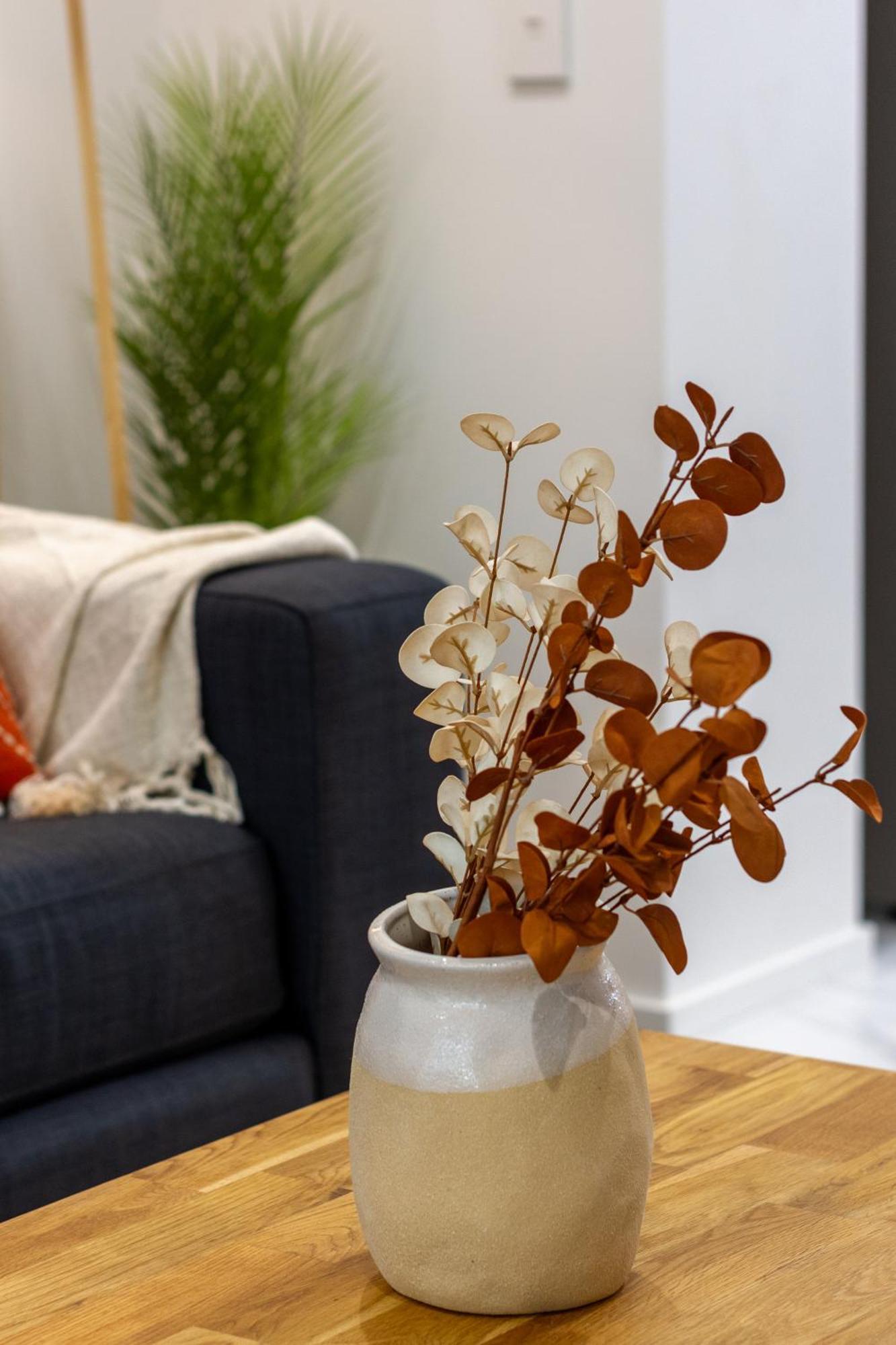 Apartment Modern Lifestyle: 2 Bedroom 1 Bath *