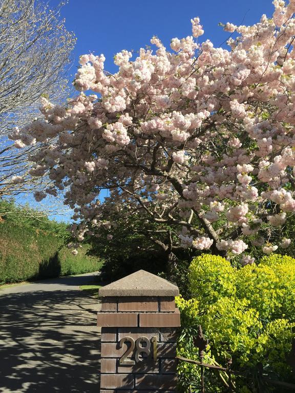 Rhododendron Garden Christchurch
