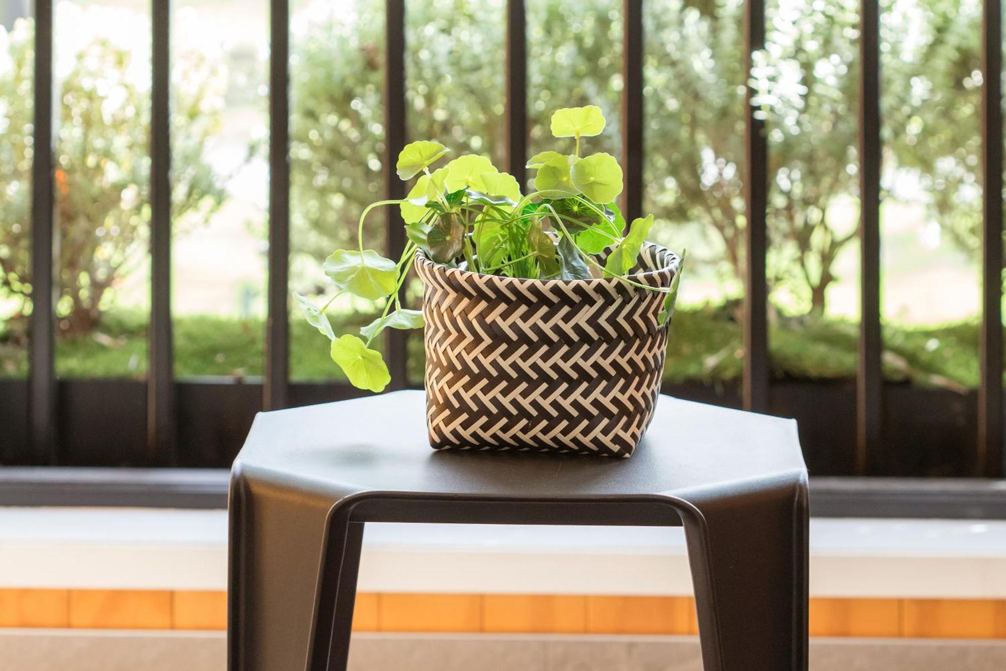 Parkside Retreat Near Hospital Inside 4 Avenues Christchurch