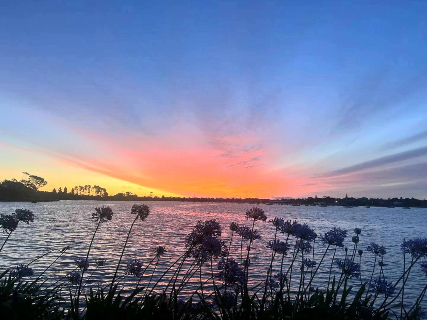Dream Away From Near Airport Christchurch