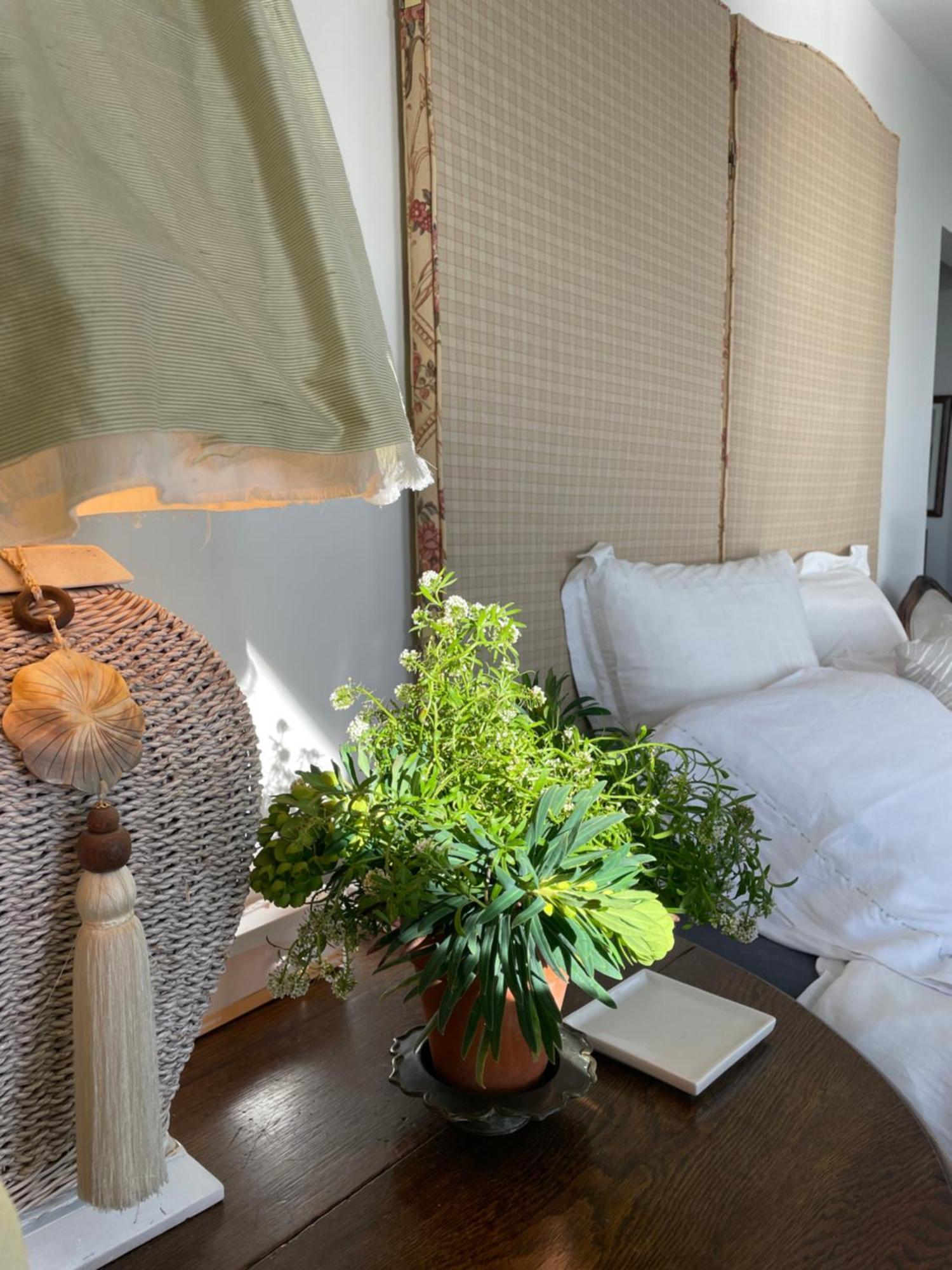 340 Deg Alps & Sea Bed & Breakfast
