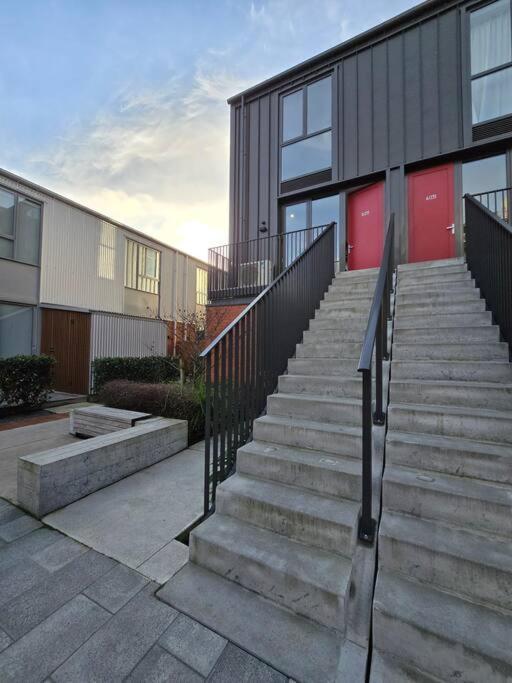 Apartment Modern In Christchurch