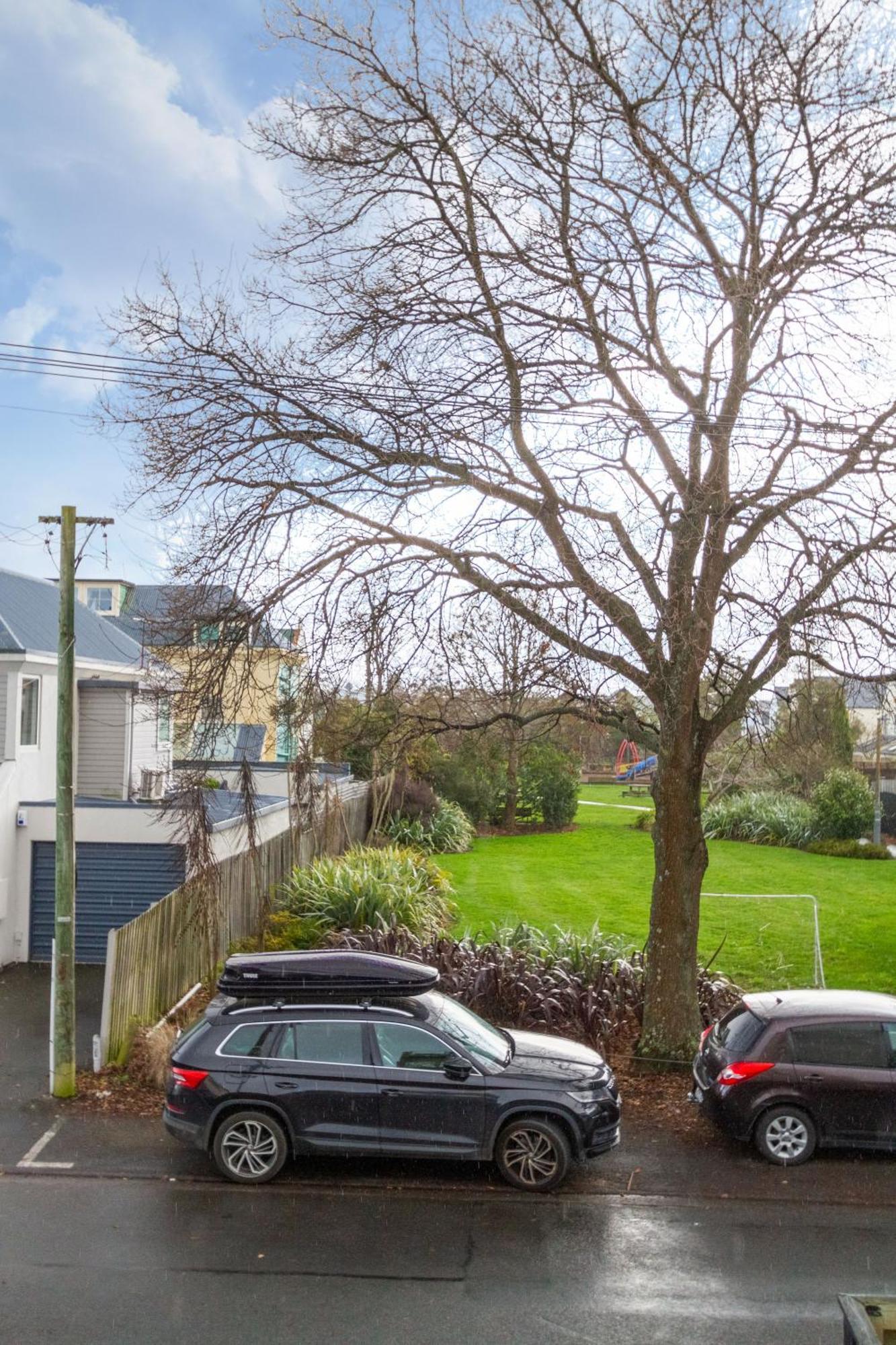 Apartment Warm Chch Park View & Garage Parking *