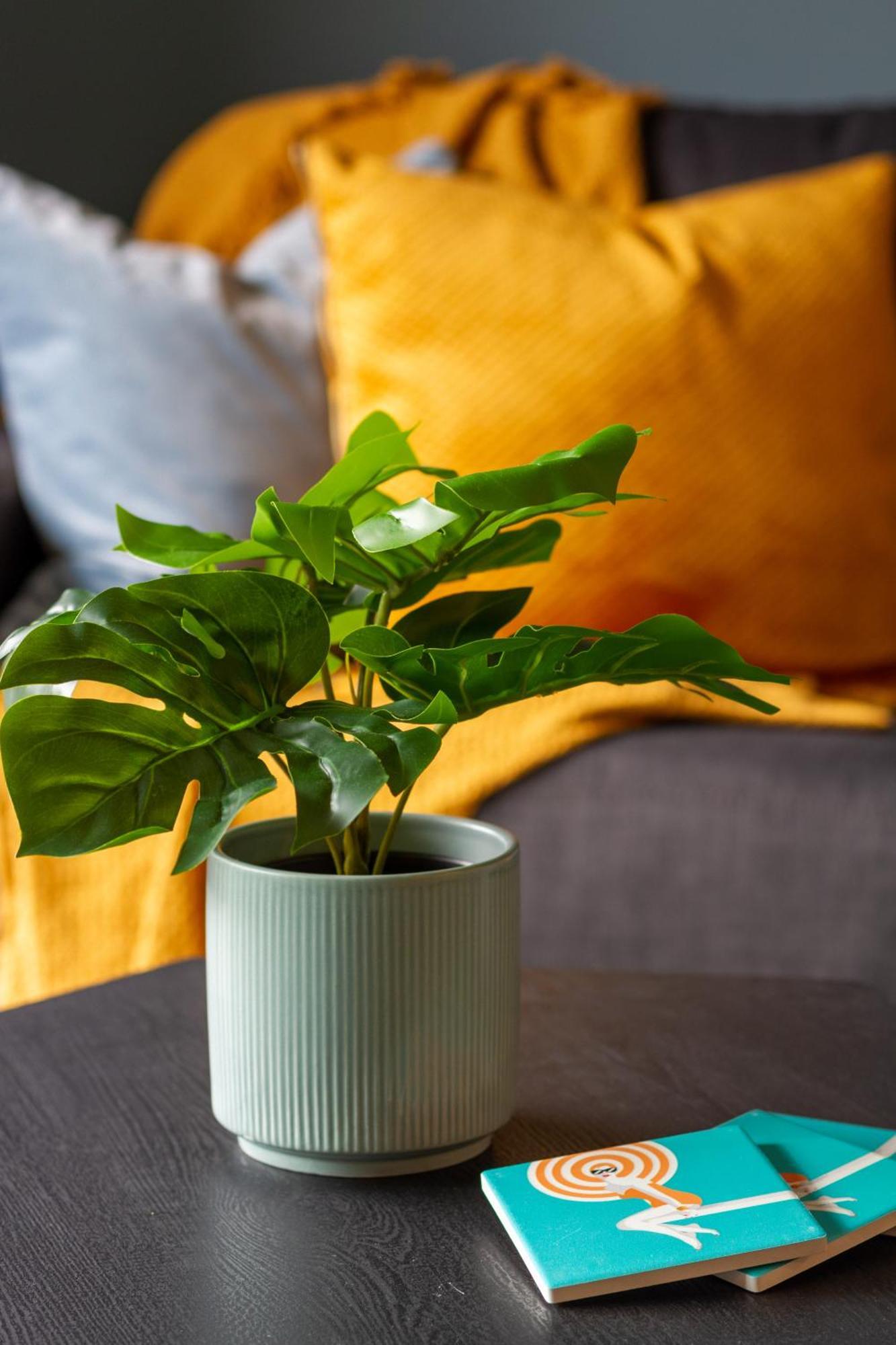 Apartamento Serene 2 Bed Cbd Retreat Christchurch
