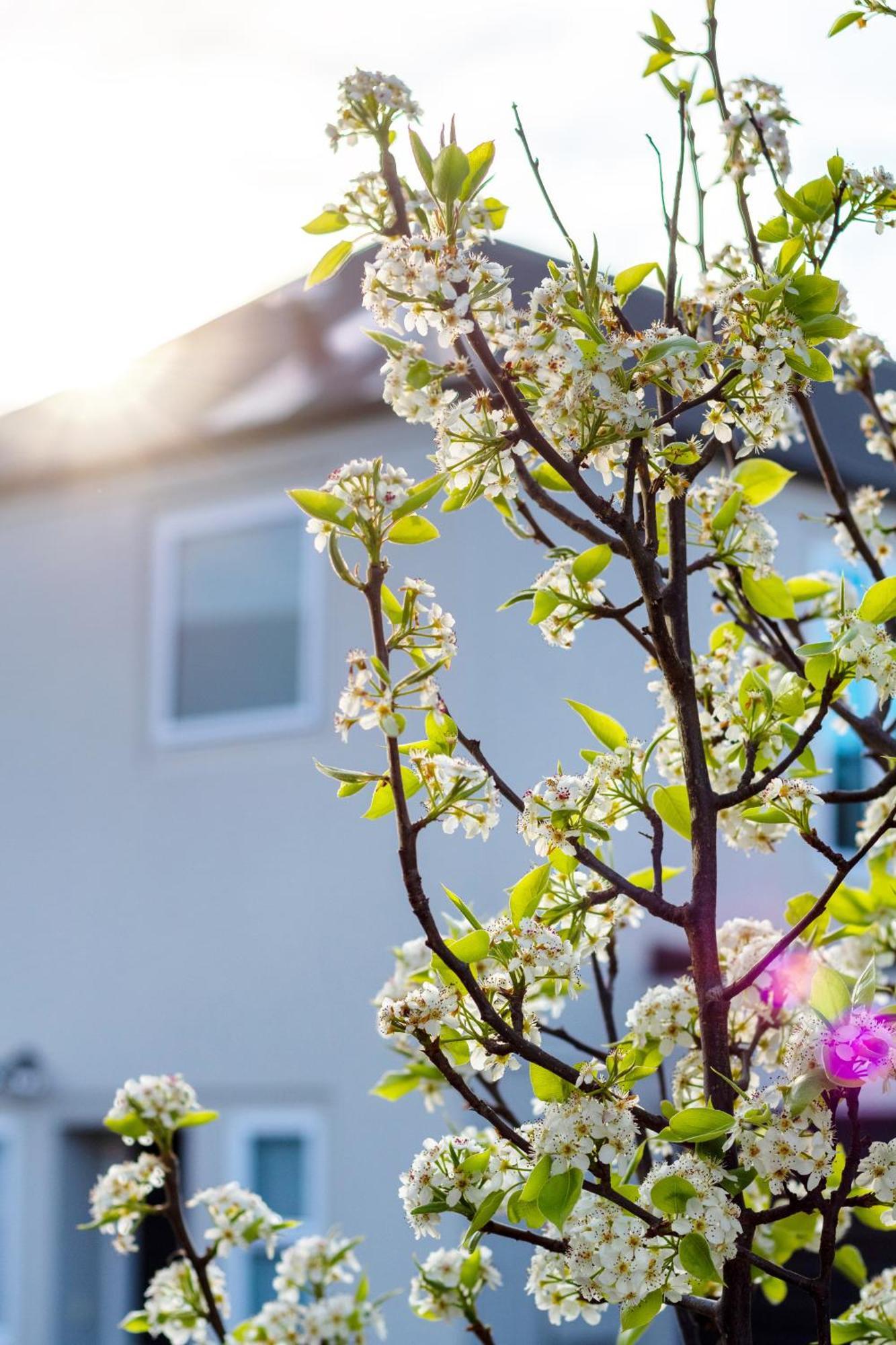 With Car Park, Sunny Deck & 65-inch Tv Apartment *