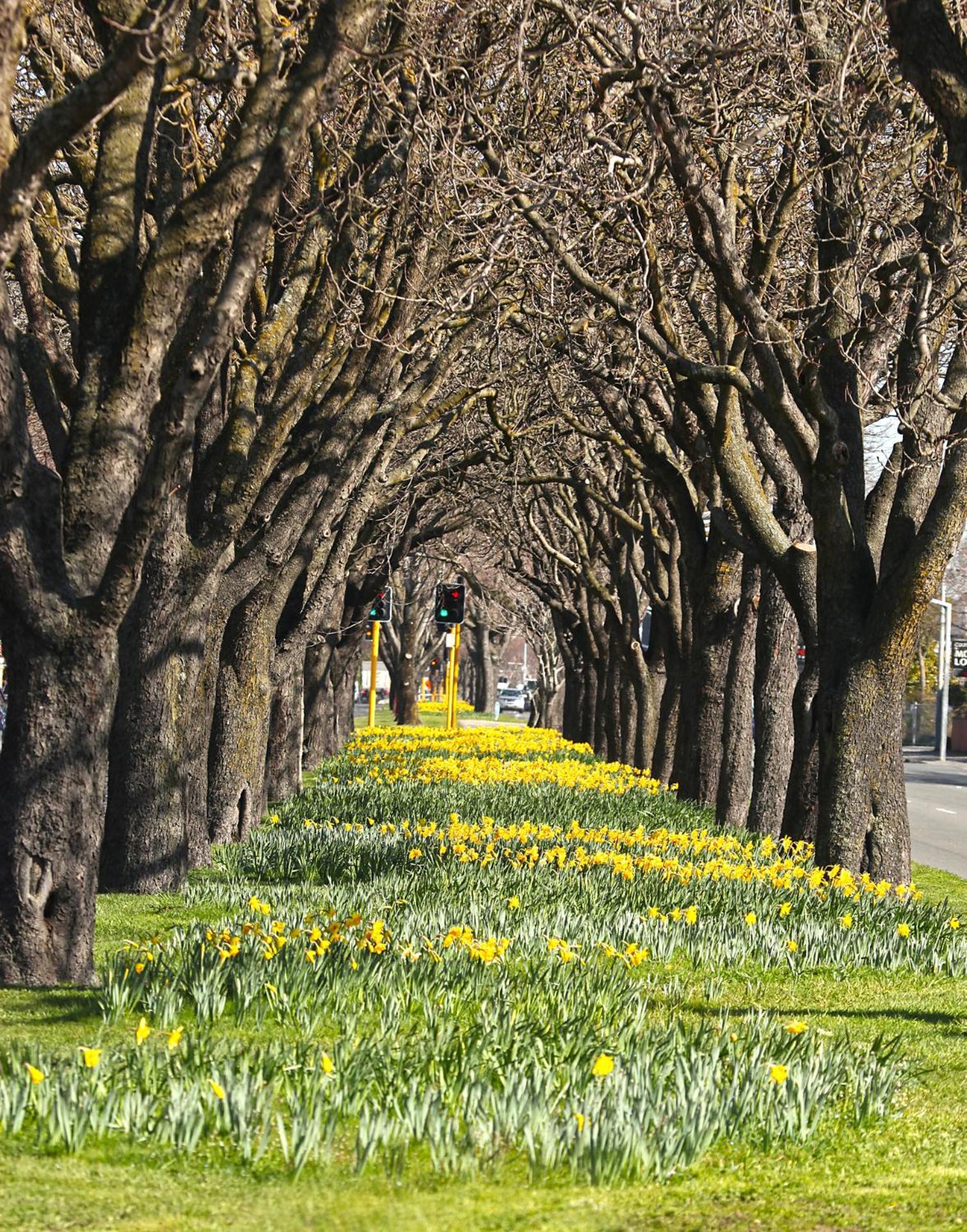 Apartment Relaxing Haven Upper Near Riverside Market Christchurch