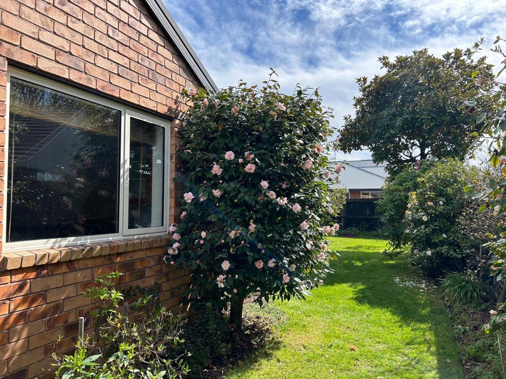 Sunny And Warm Family House 3 Bedrooms Christchurch