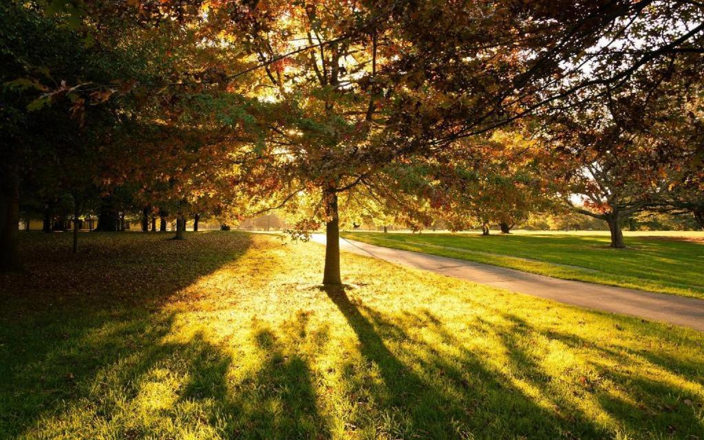The Riccarton 3* Christchurch