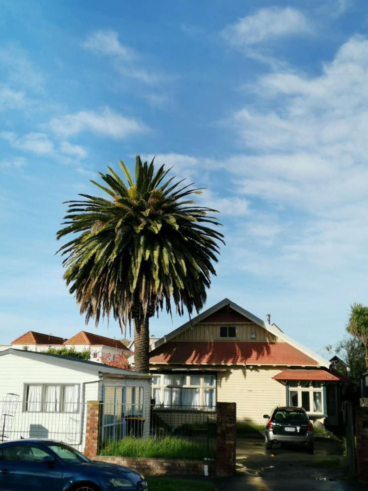 Homestay Cbd Backpacker 3