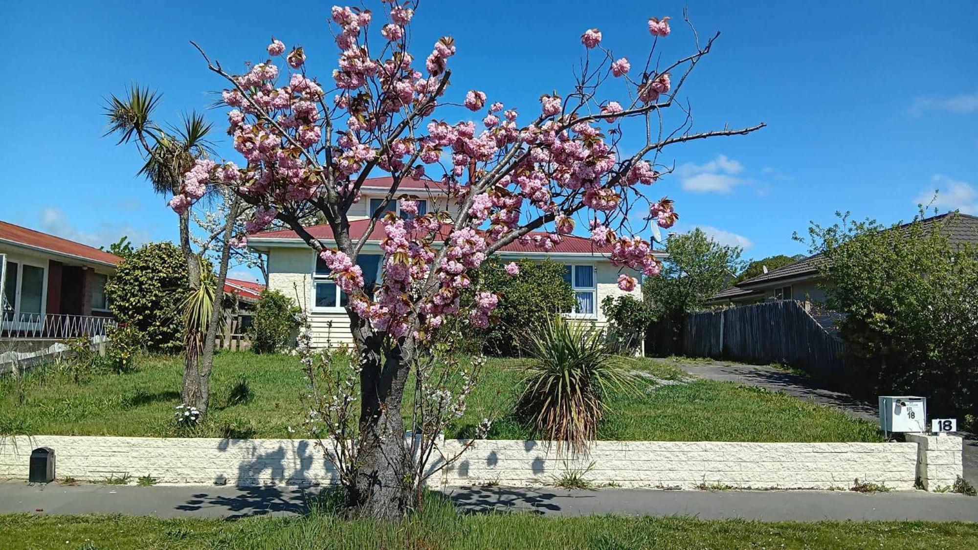 Homestay Family Near Center