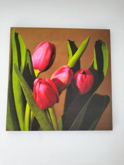 Cozy 2 Bed Cbd Retreat By Latimer Square Holiday home Christchurch