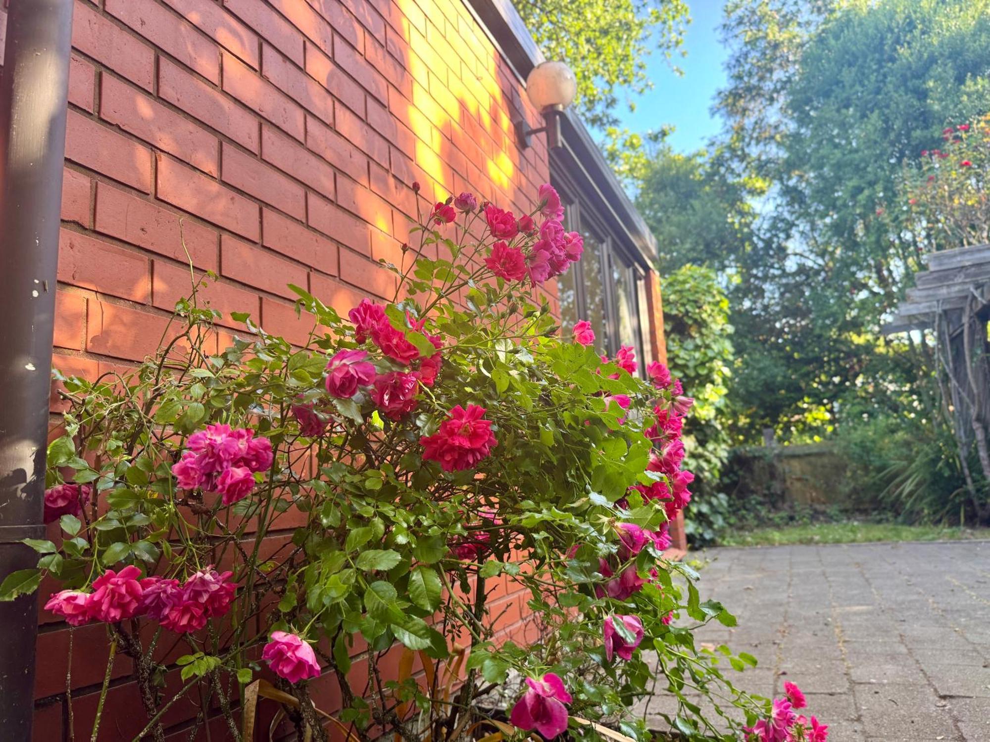 Holiday home Fendalton Rose Garden Retreat