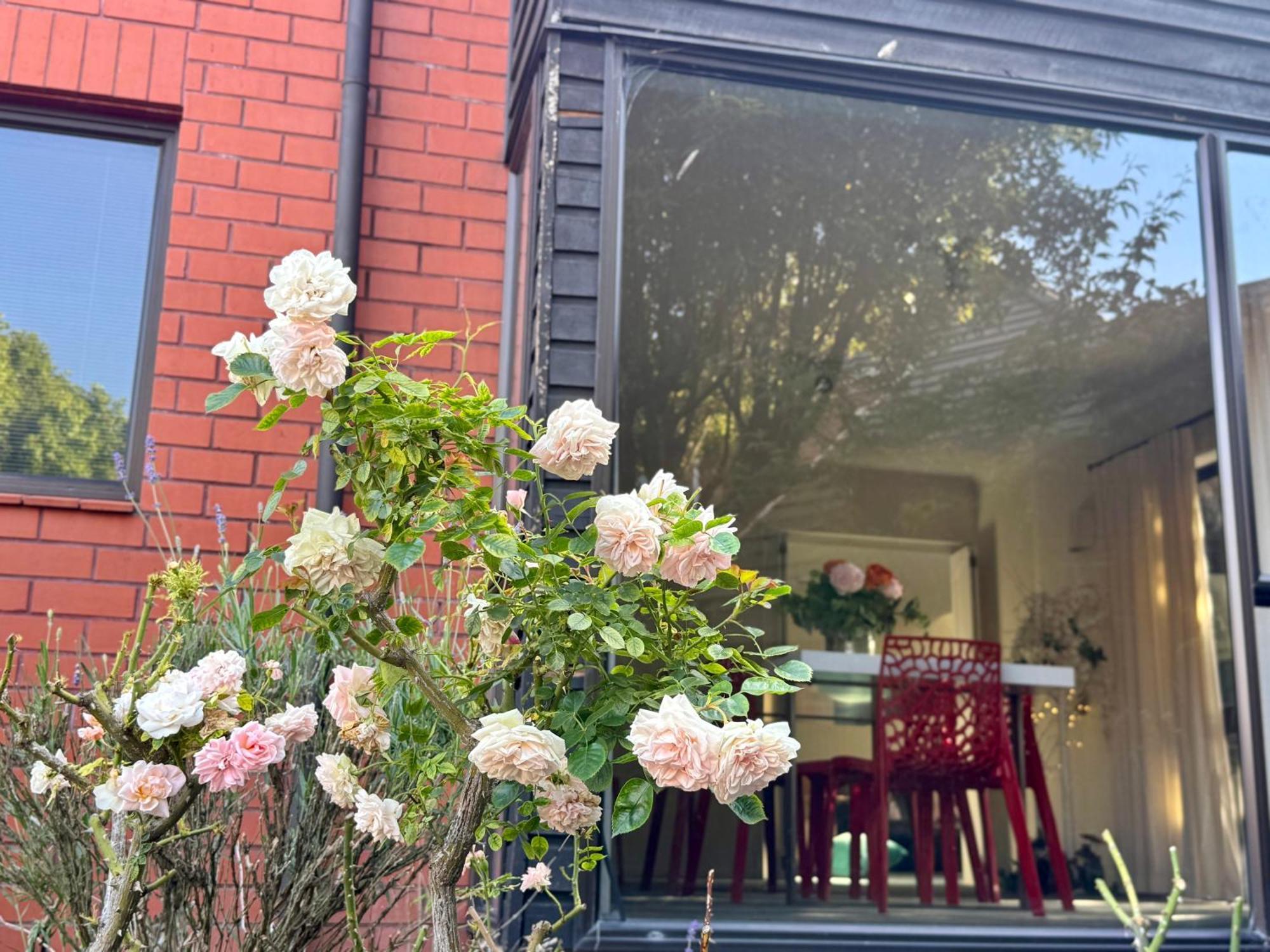 Fendalton Rose Garden Retreat Christchurch