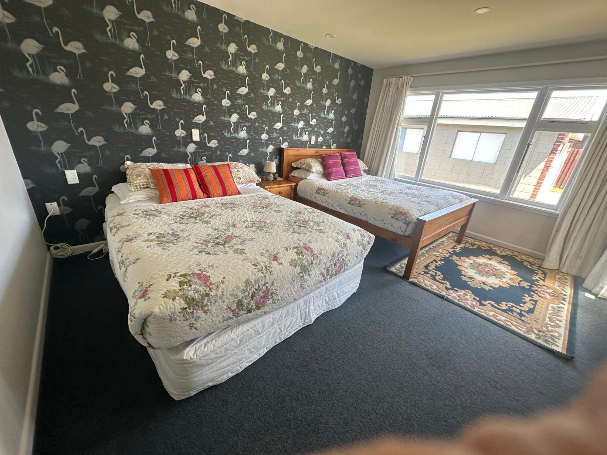 Sunny House With 5 Bedrooms * Christchurch