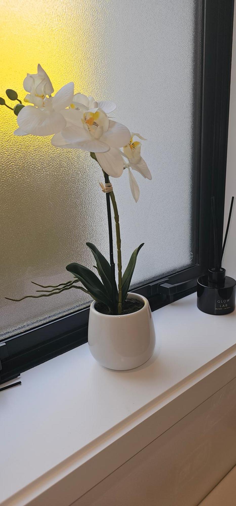 Step Into Comfort On Bath Street Apartment *
