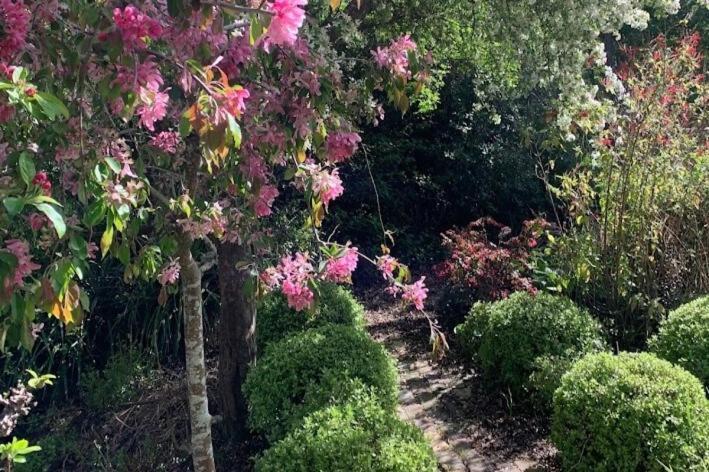 Casterton Cottage, Paradise Garden With & Pool Villa Christchurch
