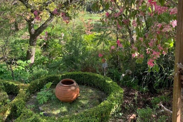 Casterton Cottage, Paradise Garden With & Pool
