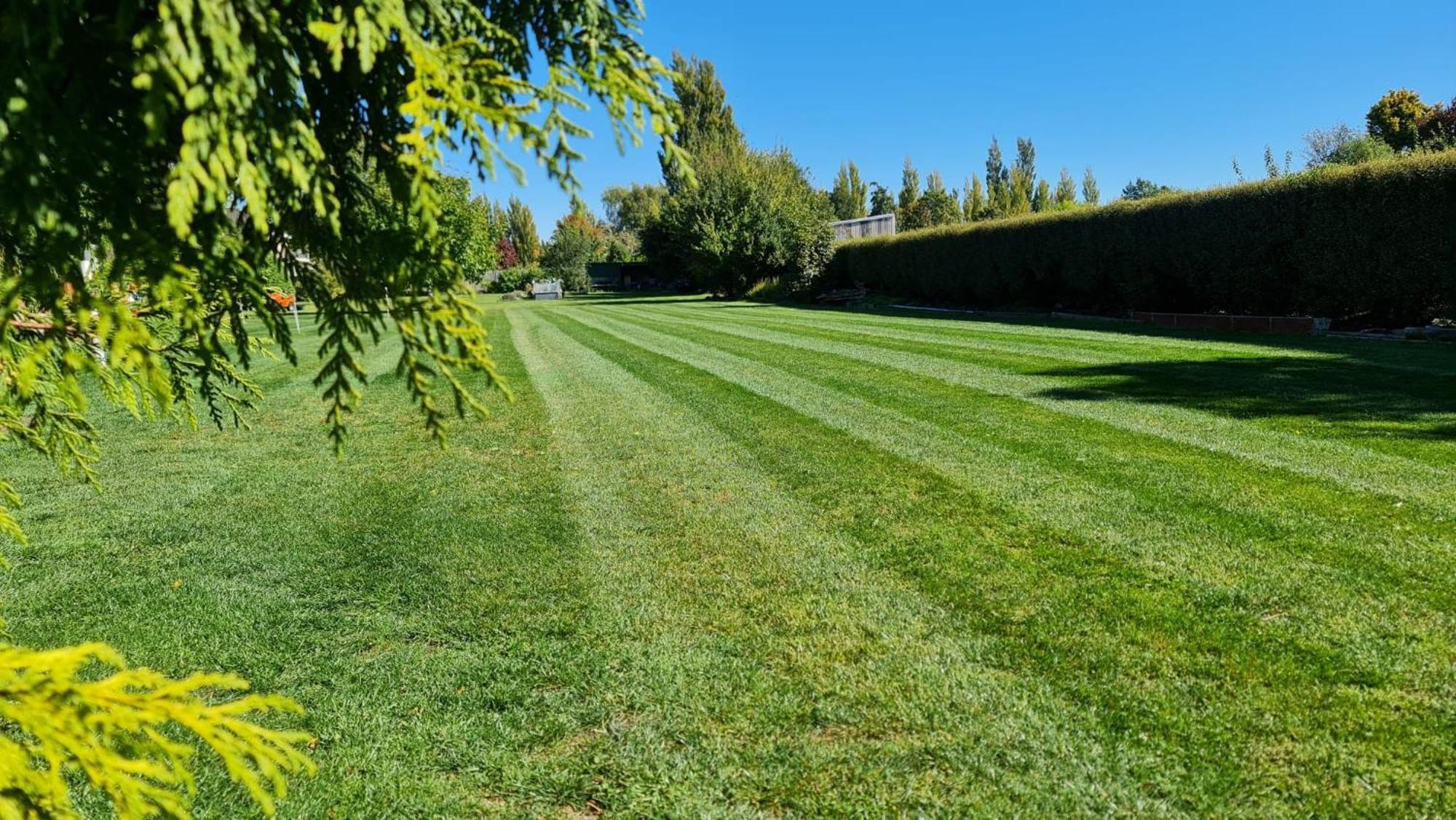 Applewood 1 By Tiny Away Holiday home Christchurch