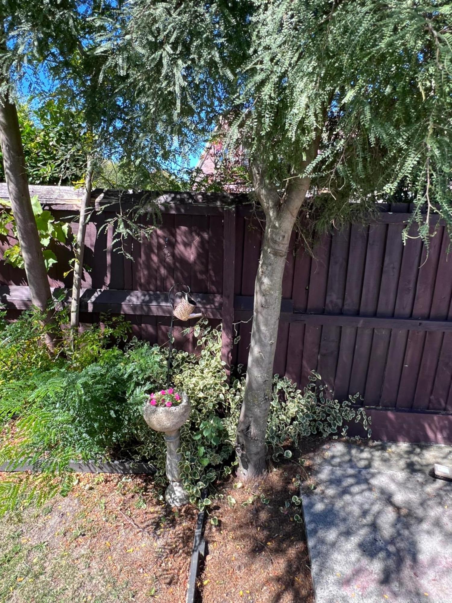 Gorgeous Villa, 7 Minutes From Airport Homestay Christchurch