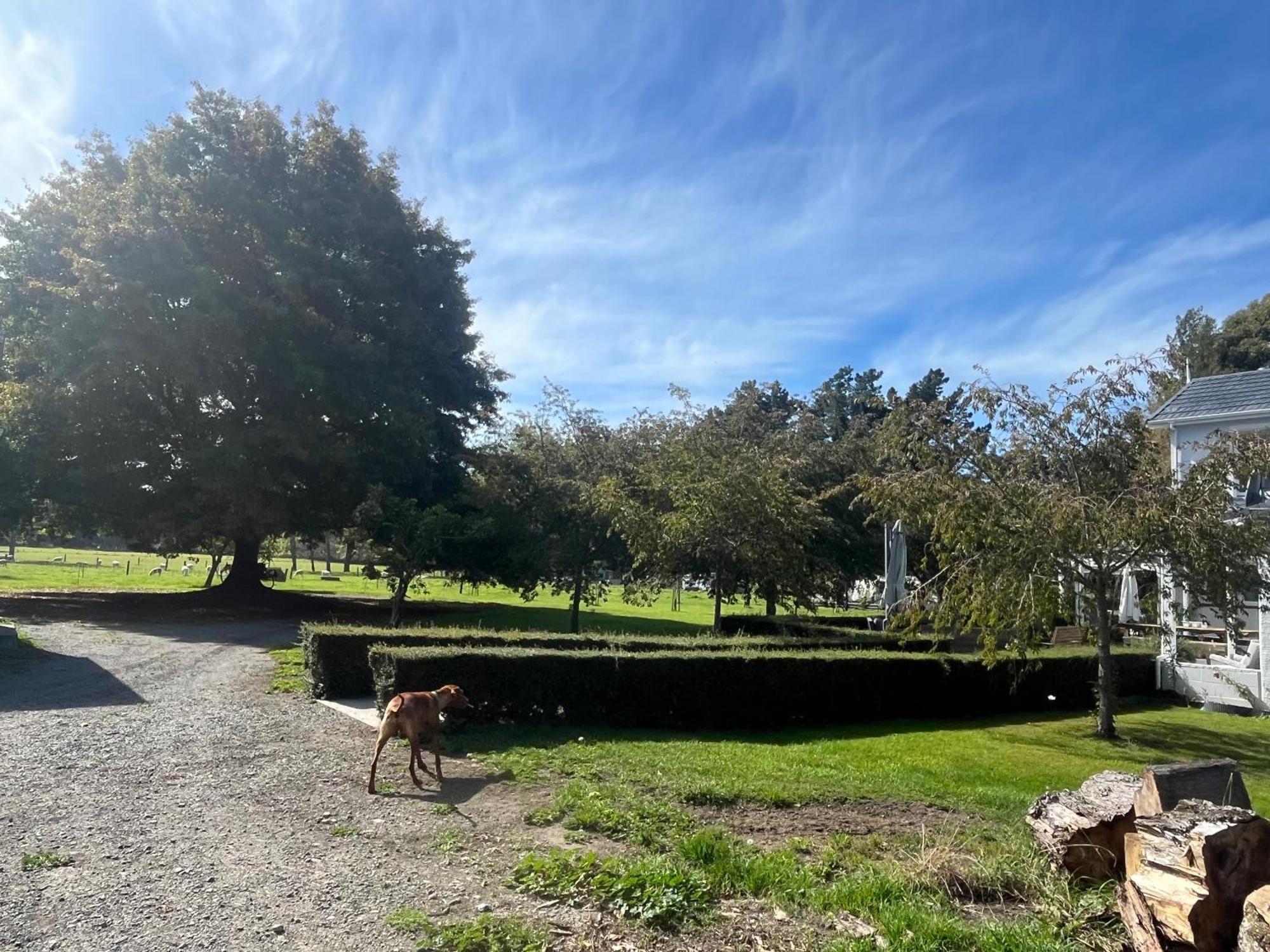 Newfields Country Retreat * Christchurch