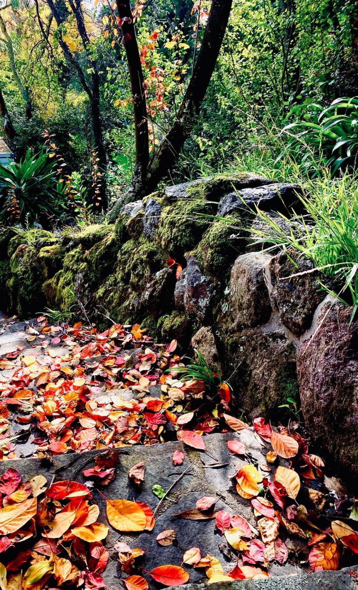 The Bird's Nest - Secluded Getaway! Christchurch
