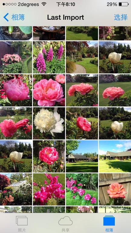 Guest house Rhododendron Garden Christchurch