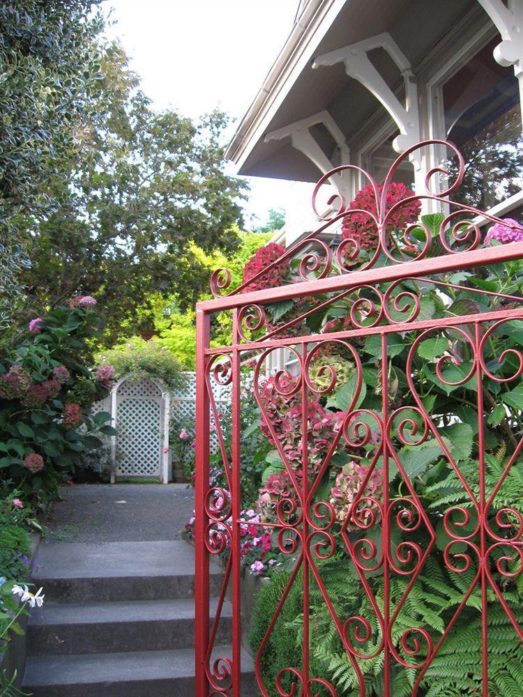 Dorset House Backpackers Hostel *