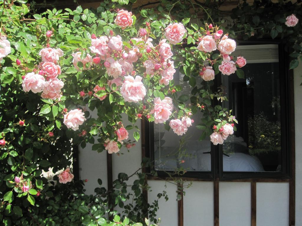 Holiday home Rose At The Elms