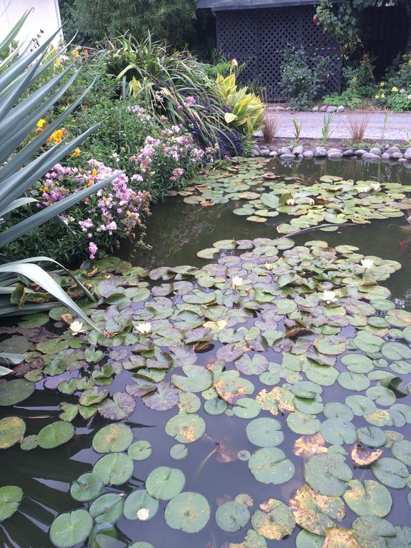 Bed & Breakfast Water Lily Garden