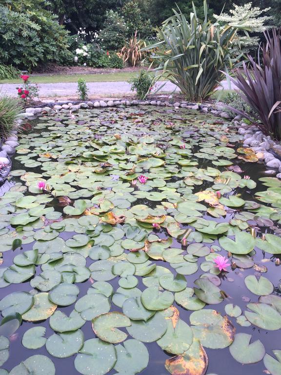Water Lily Garden 3*