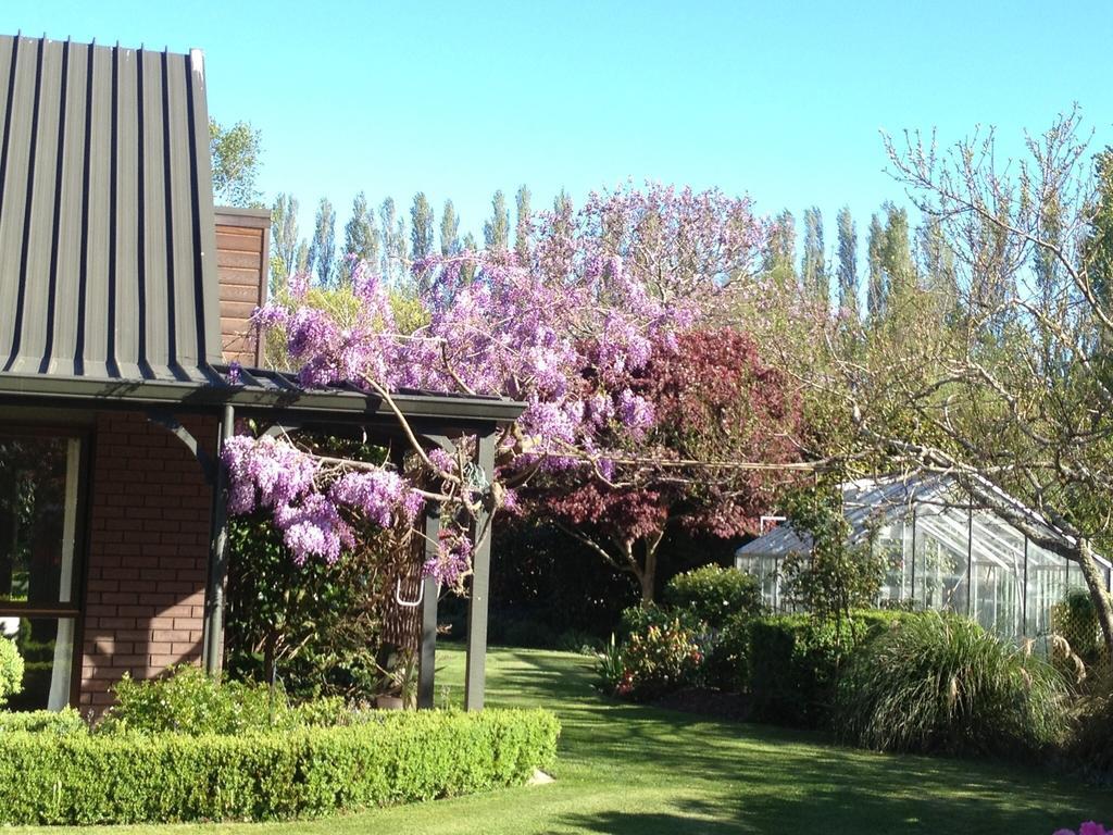 Guest house Rhododendron Garden 4*