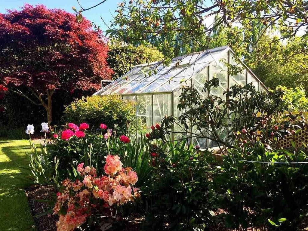 Rhododendron Garden 4* Christchurch