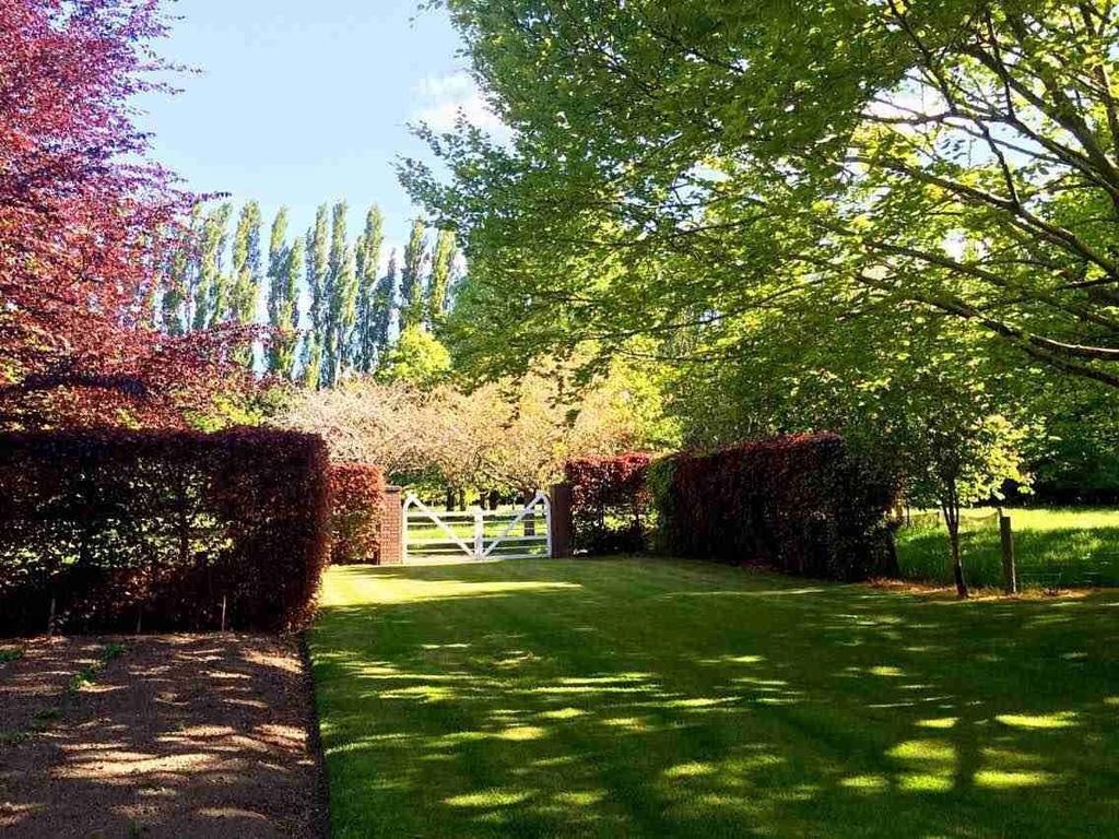 Rhododendron Garden Guest house Christchurch