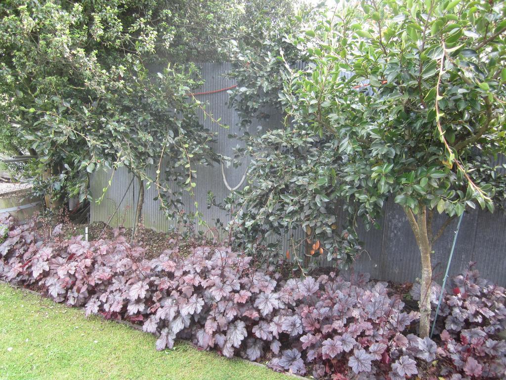 Bed & Breakfast Airport Guesthouse Christchurch Airport 3*