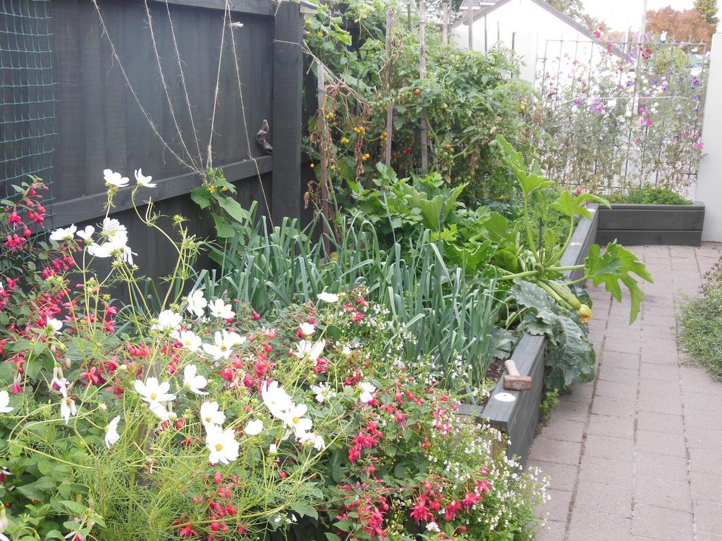 Garden Bed & Breakfast Christchurch