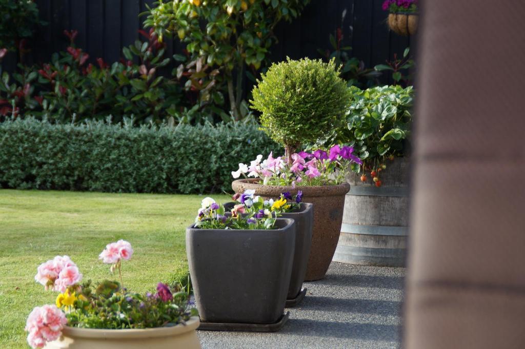 Olive House 4* Christchurch