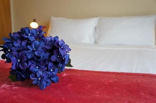 Motel Riccarton Mall 4*