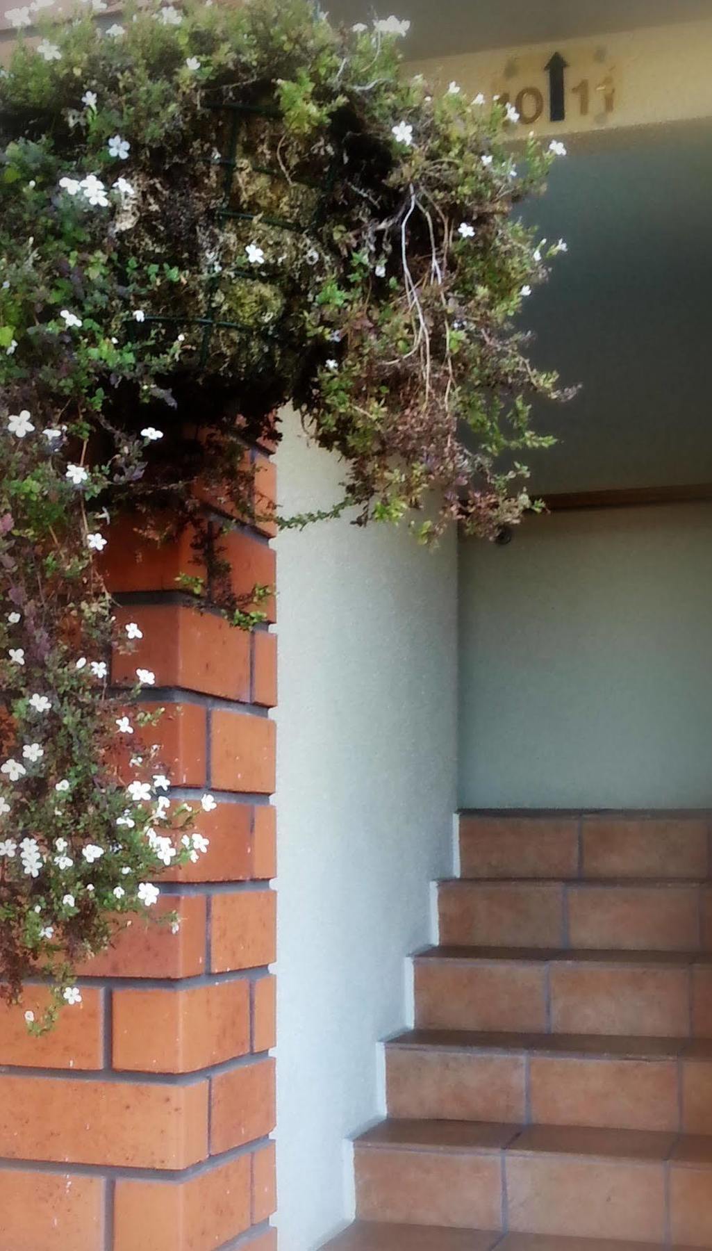 Rosewood Court Christchurch