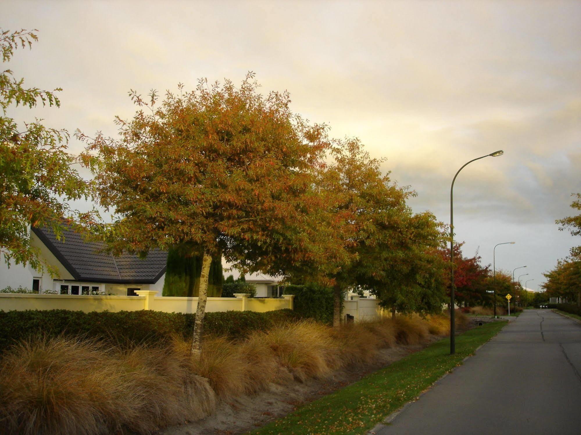 Bed & Breakfast The White House Christchurch