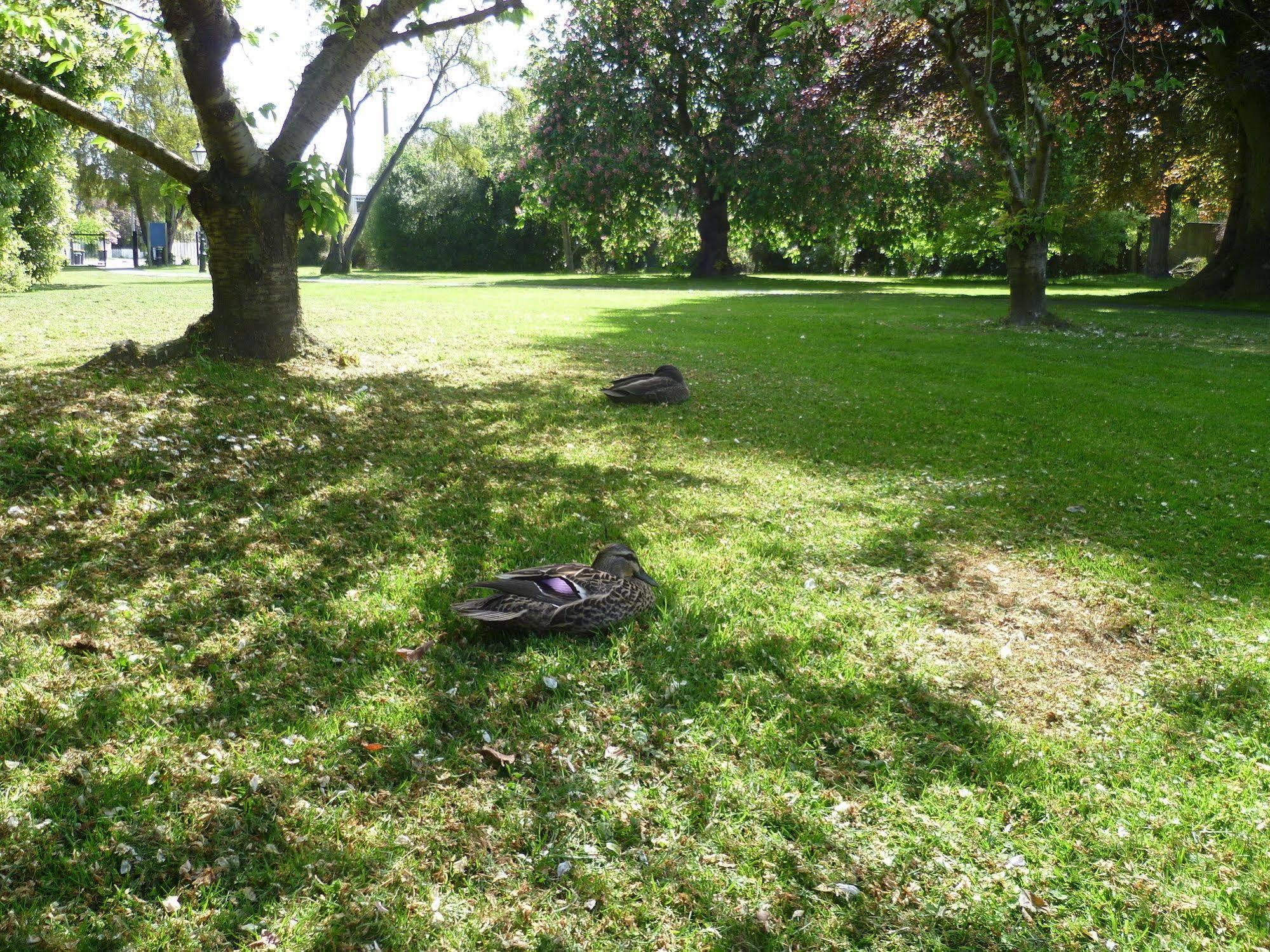 162 Kings Of Riccarton Christchurch