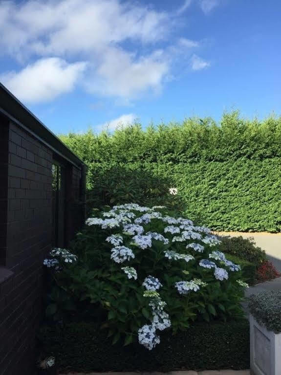 Rhododendron Garden Guest house 4*