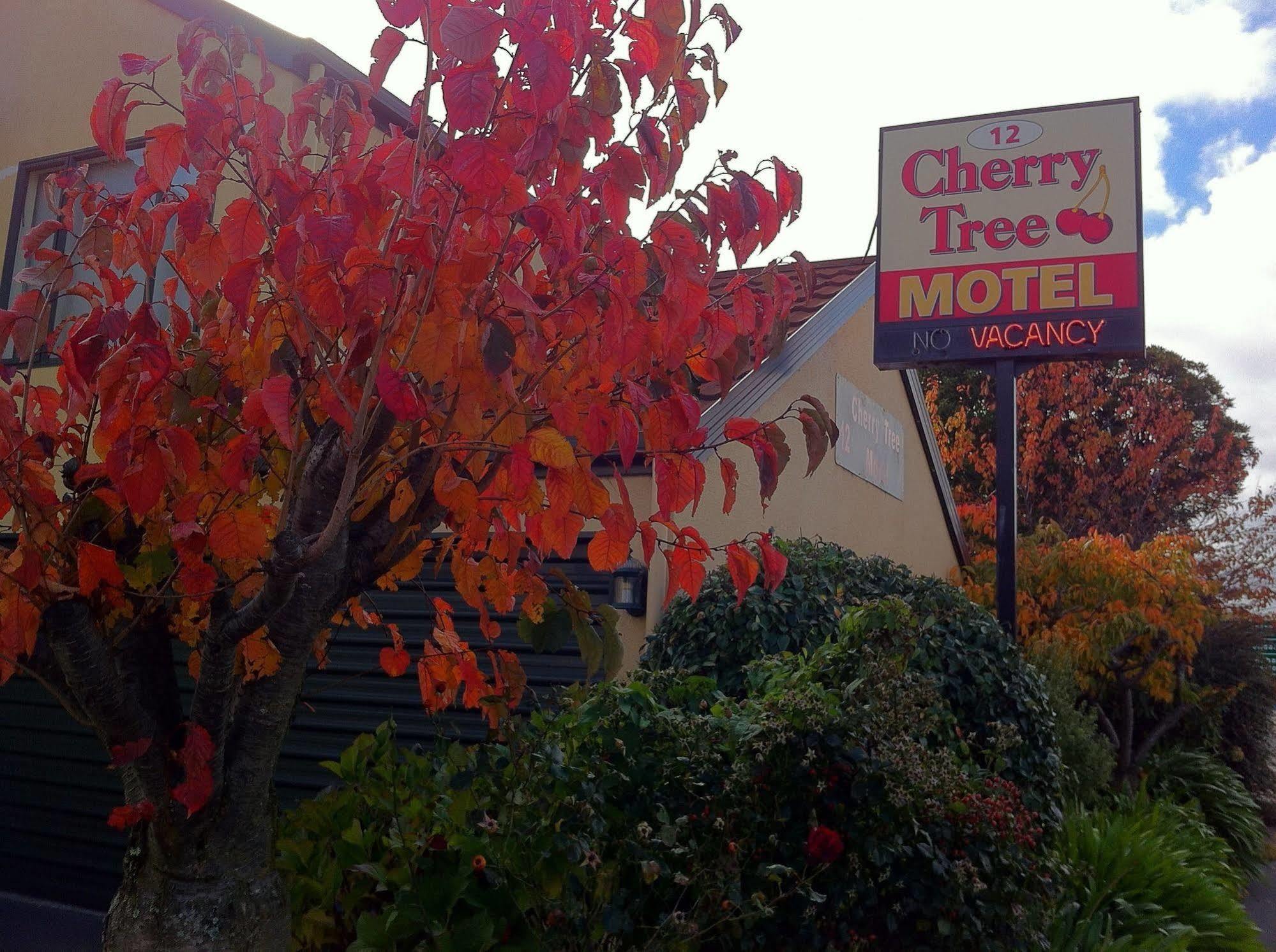 Motel Cherry Tree 3*