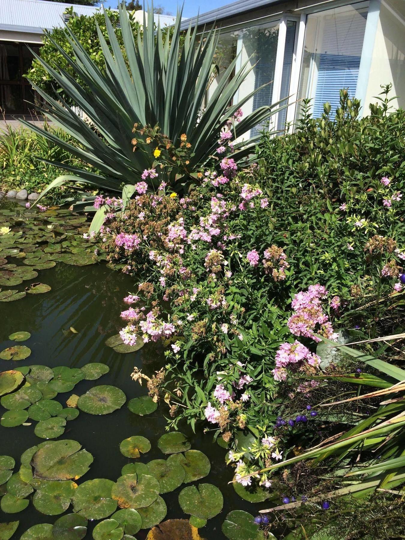 Bed & Breakfast Water Lily Garden 3*