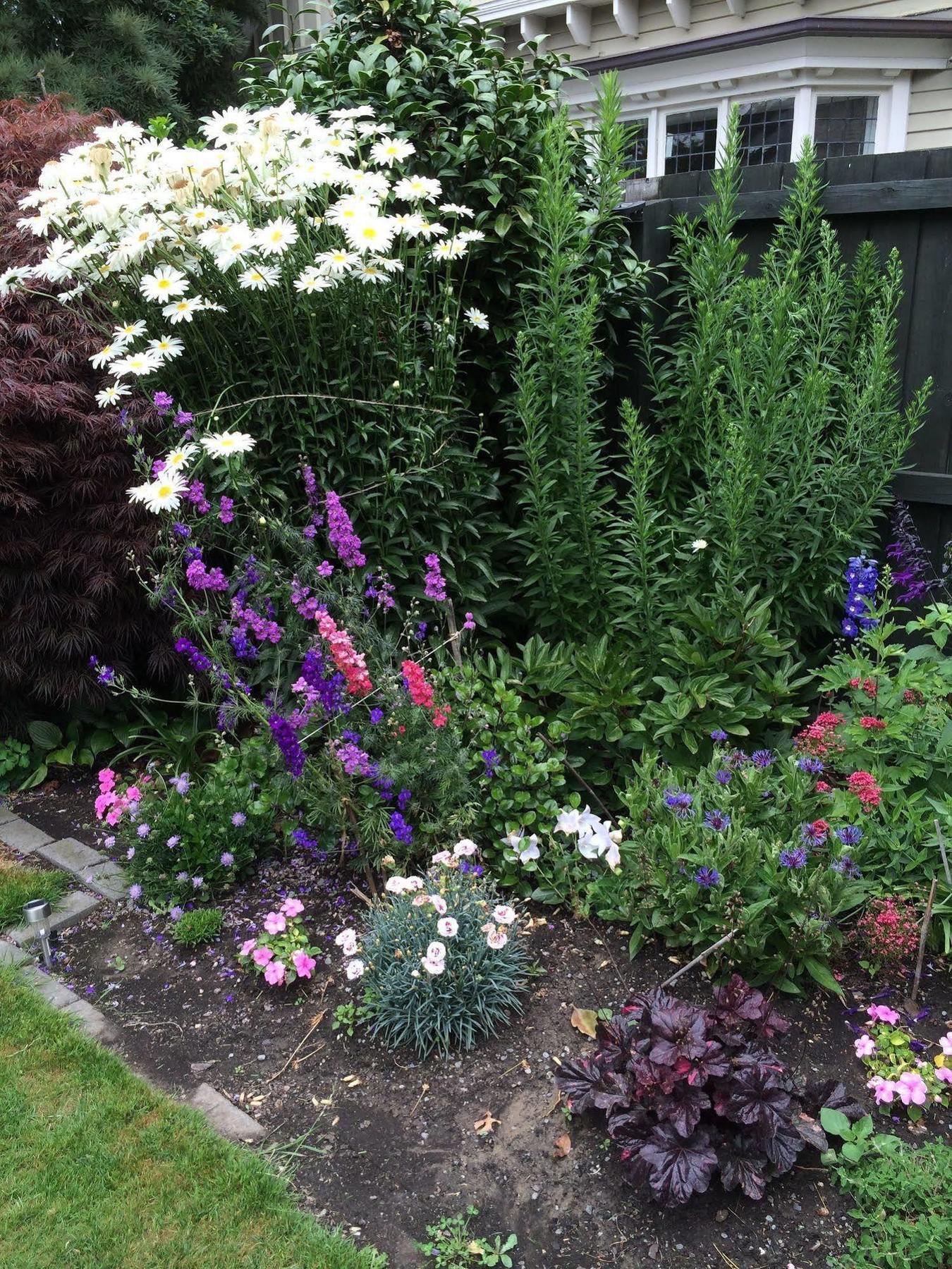 Garden Bed & Breakfast Christchurch