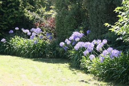 Holiday home Walnut Grove *
